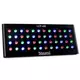 Beamz LCP-48, LED barvna pločša , 48 x 1 W RGW, DMX - Beamz