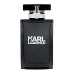 Karl Lagerfeld Karl Lagerfeld For Him toaletna voda 100 ml za moške
