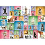 WEBHIDDENBRAND EUROGRAPHICS Dog Yoga Puzzle 1000 kosov