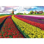 WEBHIDDENBRAND EUROGRAPHICS Tulipanovo polje Puzzle (HDR) 1000 kosov