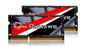 G.SKILL RipjawsX 8GB DDR3 1600MHz