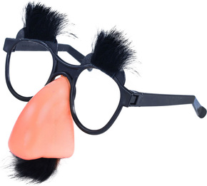 WEBHIDDENBRAND Očala z nosom in mucami