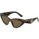 Dolce & Gabbana DG4439 502/73 ONE SIZE (55) Havana/Rjava