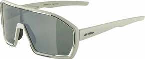 Alpina Bonfire Q-Lite Cool/Grey Matt/Silver Kolesarska očala