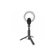 Lorgar Circulus 910