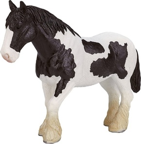 Črno-bel konj Mojo Clydesdale