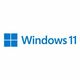 Microsoft Windows Pro 11 FPP slovenski, USB
