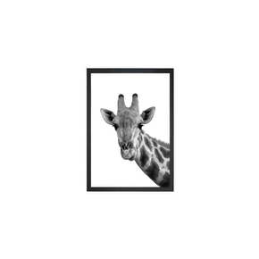 Plakat Tablo Center Giraffe Portrait