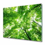 tulup.si Steklena podloga za rezanje Green forest 2x30x52 cm