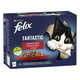 Felix hrana za mačke Fantastic s piščancem, govedino, zajcem in jagnjetino v želeju, 6 (12x85g)