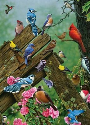 Cobble Hill Puzzle Gozdne ptice 1000 kosov