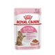 hrana za mačke royal canin sterilised gravy piščanec 12 x 85 g