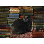 Cobble Hill Puzzle Maček v knjižnici 1000 kosov