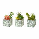 Umetne rastline v kompletu 3 ks Cactus – Casa Selección