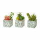 Umetne rastline v kompletu 3 ks Cactus – Casa Selección