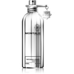Montale Patchouli Leaves parfumska voda uniseks 100 ml