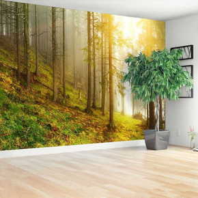 Tulup.si Fototapeta Forest 104x70cm Netkani freski