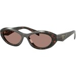 Prada PR26ZS 17N60B ONE SIZE (55) Havana/Rjava