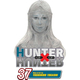 WEBHIDDENBRAND Hunter x Hunter, Vol. 37