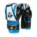DBX BUSHIDO boksarske rokavice ARB407v1 6 oz.