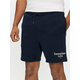 Tommy Jeans Športne kratke hlače Tjm Entry Graphic DM0DM19153 Mornarsko modra Regular Fit