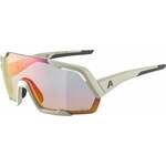 Alpina Rocket QV Cool/Grey Matt/Rainbow Kolesarska očala