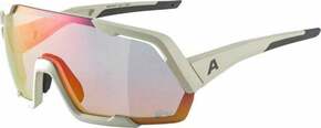 Alpina Rocket QV Cool/Grey Matt/Rainbow Kolesarska očala
