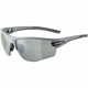 Alpina Sports Tri-Scray 2.0 HR športna očala, siva