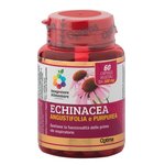 Echinacea pur &amp; Echinacea Lavendel - 60 kapsul
