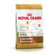 Royal Canin hrana za Labrdorce, 12 kg
