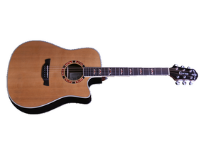 Elektro-akustična kitara STG D-18ce Crafter