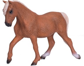 Mojo Kôň Morgan palomino