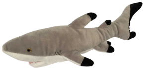 Morski pes 56 cm