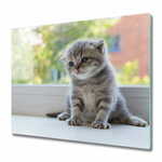 tulup.si Steklena podloga za rezanje Mala mačka na oknu 2x30x52 cm