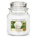 Yankee Candle Aromatična sveča Classic srednji cvet kamelije 411 g