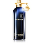 Montale Blue Amber parfumska voda uniseks 100 ml