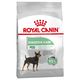 Royal Canin Mini Digestive Care briketi za pse, 8 kg