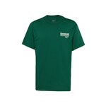 Bombažna kratka majica Reebok Brand Proud moška, zelena barva, 100076384 - zelena. Kratka majica iz kolekcije Reebok, izdelana iz pletenine s potiskom. Model iz izjemno udobne bombažne tkanine.
