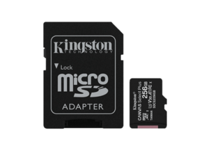 Kingston SDHC 256GB spominska kartica