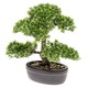 Emerald Umetni fikus mini bonsai zelene barve 32 cm