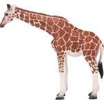 Mojo Žirafia samica