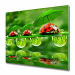tulup.si Steklena podloga za rezanje Ladybugs dežniki 2x30x52 cm