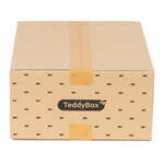 Komplet 3 bež škatel za shranjevanje Compactor Teddy, 35 x 15 cm