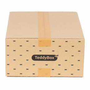 Komplet 3 bež škatel za shranjevanje Compactor Teddy