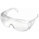 PROLINE zaščitna očala 46023
