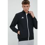 Adidas Športni pulover 164 - 169 cm/S Entrada 22