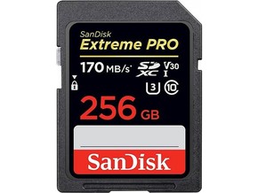 SanDisk SD 256GB spominska kartica