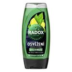Radox Refreshment Menthol And Citrus 3-in-1 Shower Gel osvežilen gel za prhanje 225 ml za moške