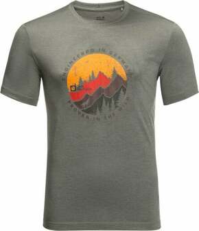 Športna kratka majica Jack Wolfskin Hiking siva barva - siva. Športna kratka majica iz kolekcije Jack Wolfskin. Model izdelan iz hitrosušečega materiala.