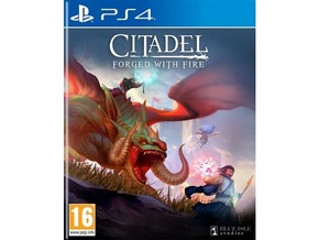 Solutions 2 Go Citadel: Forged With Fire (ps4)